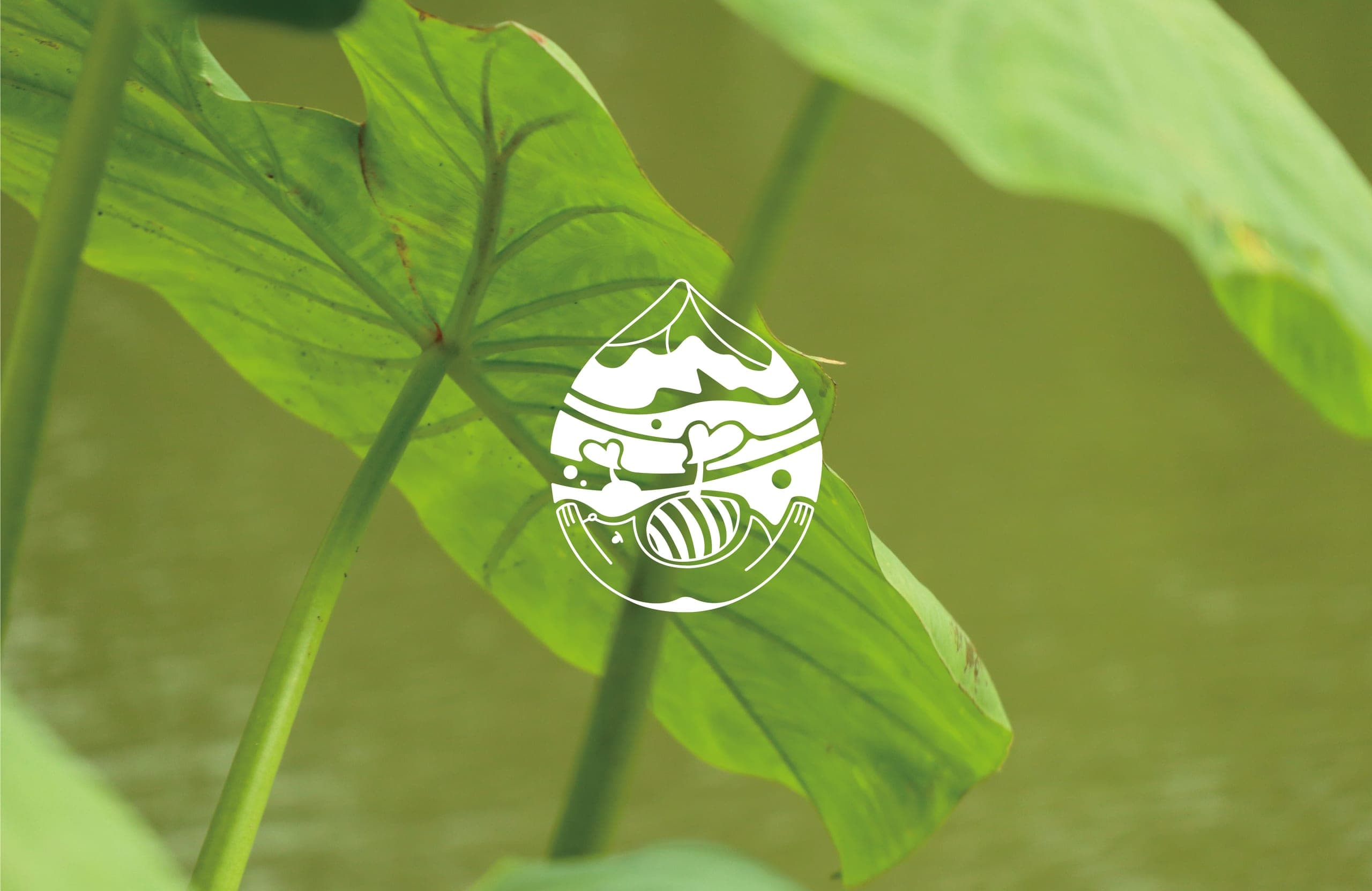 芋泥集 brand visual