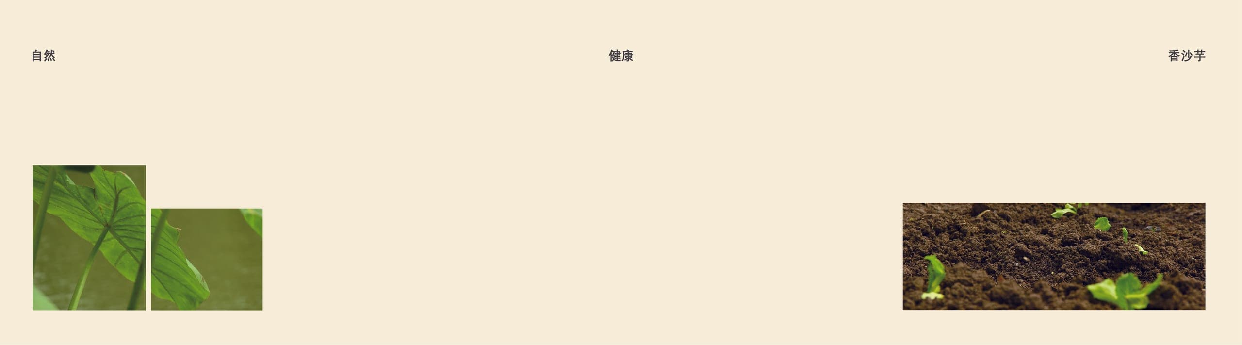 芋泥集品牌视觉展示 01