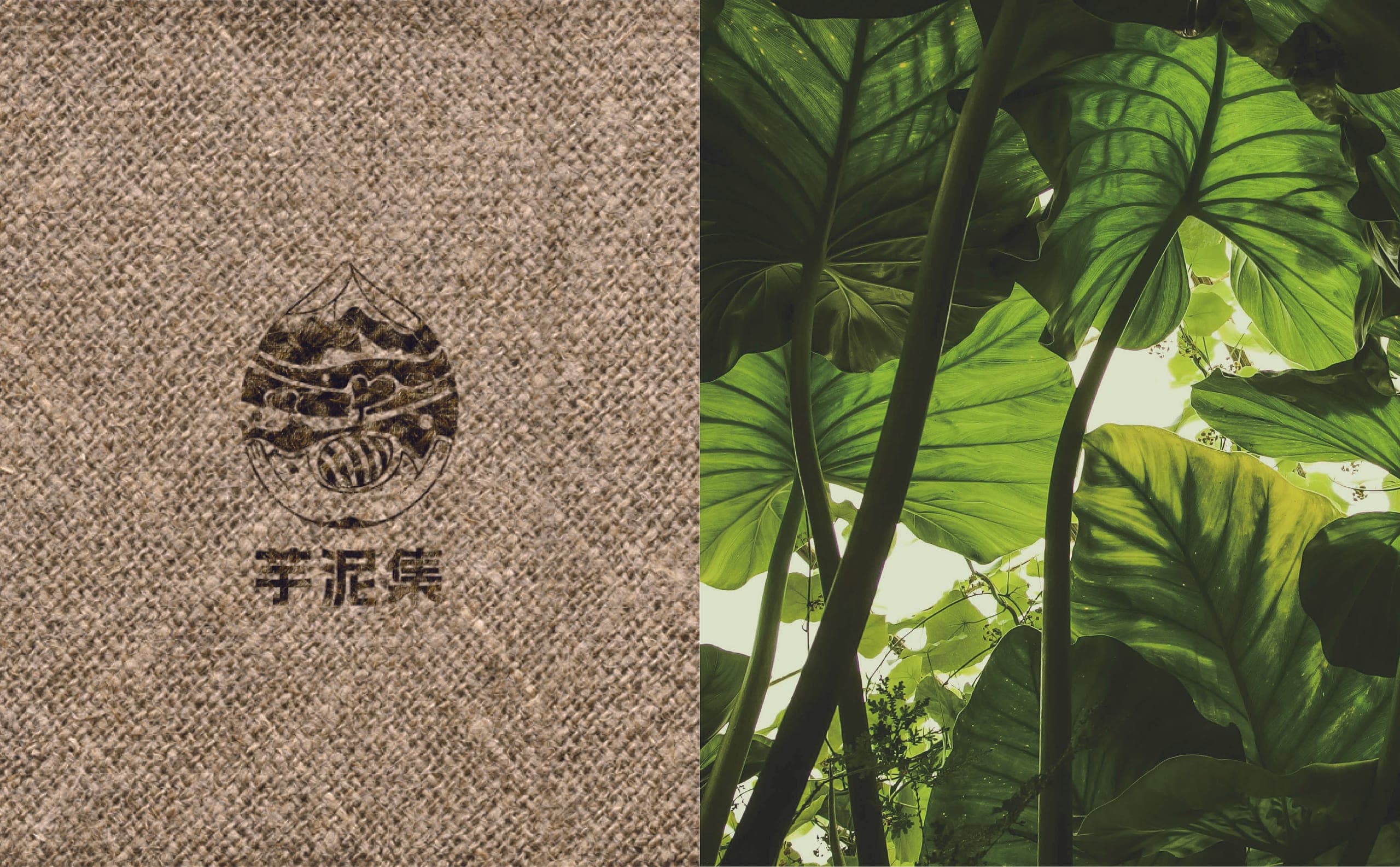 芋泥集品牌视觉展示 08
